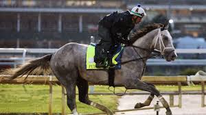 Fulleffort scratched from Kentucky Derby; Ocelli added to race