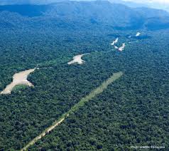 Peru Must Protect Kakataibo People in Isolation