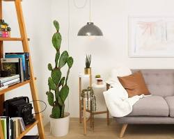 swag hanging on a living room wallの画像