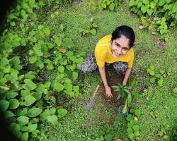 Image of Students planting trees at University of Kerala