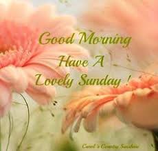 Happy Sunday on Pinterest | Monday Blessings, Blessed Sunday and ... via Relatably.com