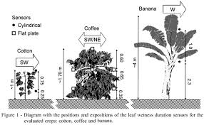 Image result for banana sensor