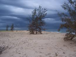 Image result for larde