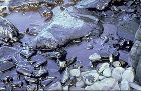 Image result for "Exxon Valdez"