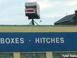 Image result for nipper albany