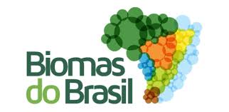 Resultado de imagem para biomas