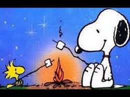 Bildresultat för amigos