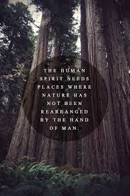 nature-quotes | Tumblr via Relatably.com