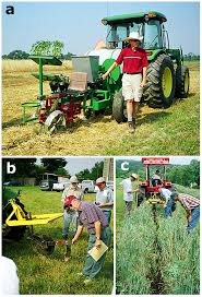 Image result for no till planter