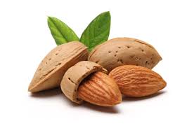 Image result for almonds