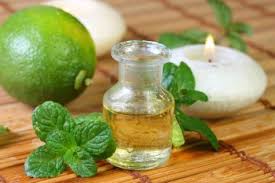 menta para el catarro