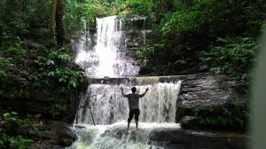 Hasil gambar untuk pecinta alam indonesia