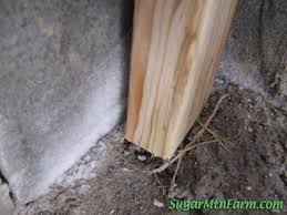 Image result for site:sugarmtnfarm.com "tiny cottage"