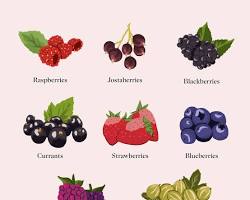 Berries