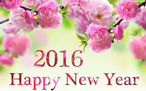 Image result for happy new year image 2016