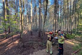 Grote natuurbrand in bosgebied bij Helden