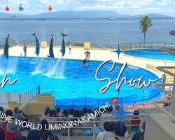 couple watching the dolphin show at Marine World Uminonakamichi, with smiles on their faces.の画像