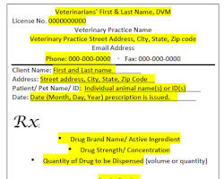 veterinarian writing a prescriptionの画像