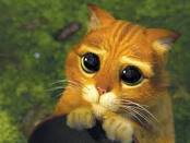 images?q=tbn:ANd9GcT8Xmsjvpm91-DBSFIxTpplcOHYvj34rQddrr0Bhno_ep160ZC9QrG1Jft_