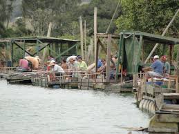 Resultado de imagem para pesca rs