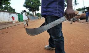 Αποτέλεσμα εικόνας για νιγηρια