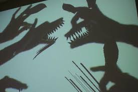 Bilderesultat for shadow