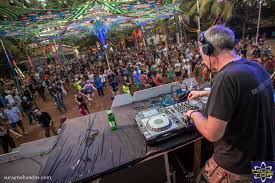 Image result for Party Fest 2016