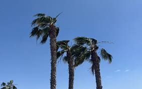 La Voz de Lanzarote - News update