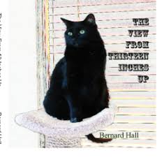 The View From Thirteen Inches Up Von Bernard Hall: Pets | Blurb ...