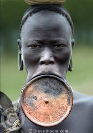 Image result for lip plate