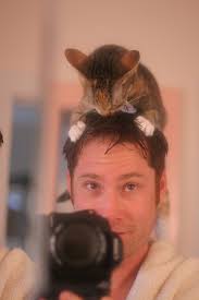 (Andrew Hecht photo) - cat-on-mans-head