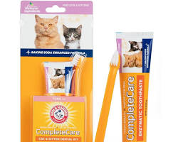 Cat toothbrush and toothpasteの画像