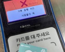 이미지 제안 2: 애플 지갑 앱 내에 티머니 카드가 등록된 모습과 카드 등록 절차를 담은 카드뉴스형