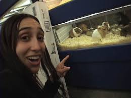 So we went to the pet store to see real rodents! - mall10