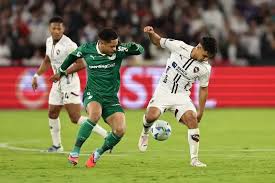 Palmeiras vs LDU: Arbitrage Controversée! Le Match Sous Tension?