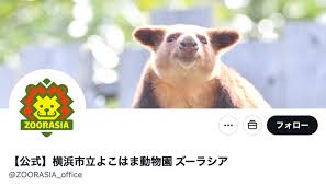 Yahoo!ニュース - News update