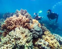 group of scuba divers exploring a coral reef on the Great Barrier Reef