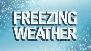 Freezing weather to hit the Wiregrass