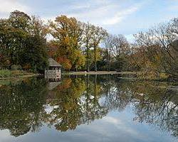 Image of Prospect Park, NYC