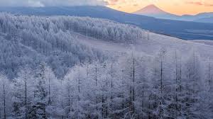 News source: Le Figaro