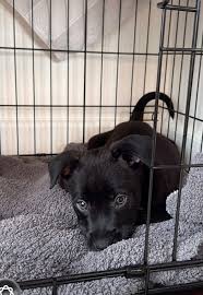 Welcome home Finan, you're already loved so much ...