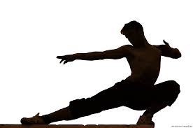 Kết quả hình ảnh cho hình ảnh võ thuật