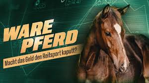 pferde