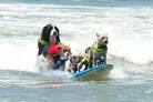 Unleashed by Petco Surf Dog Competition Imperial. - San Diego