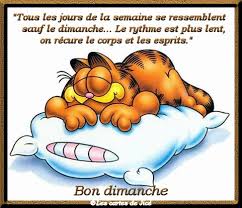 Résultat de recherche d'images pour "images  dimanche humour"