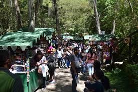 Résultat de recherche d'images pour "photo feria millas"