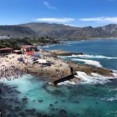 Hermanus