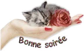 Résultat de recherche d'images pour "GIF bonne soiree fleurie"