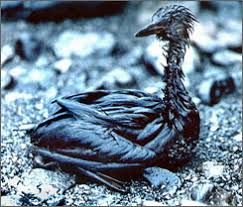 Image result for "Exxon Valdez"