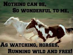 Breaking A Wild Horse Quotes. QuotesGram via Relatably.com